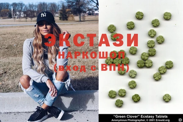 сатива Гатчина